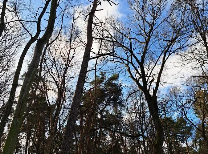 Sloneczny Zakatek Nad Narwia * Serock